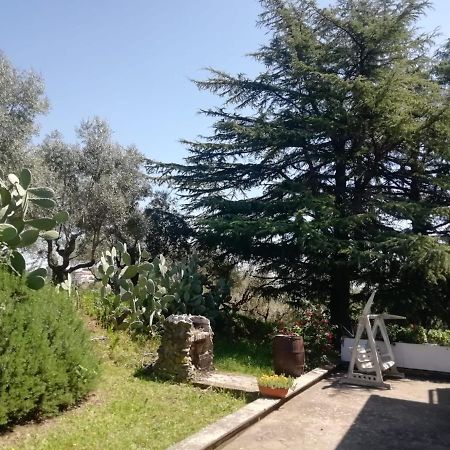 La Campagna Di Rosy Apartment Genzano di Roma Exterior photo