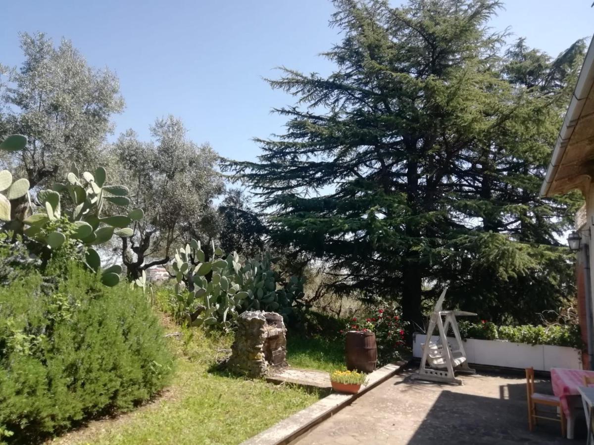 La Campagna Di Rosy Apartment Genzano di Roma Exterior photo